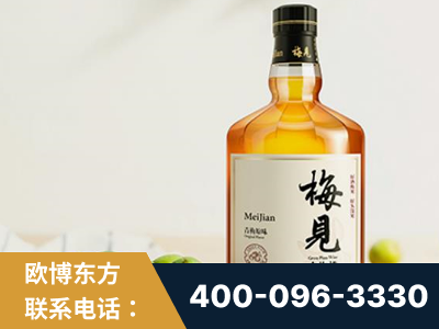 遂宁-梅见青梅酒